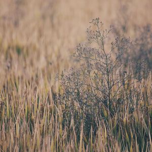 微信看片黄群免费
